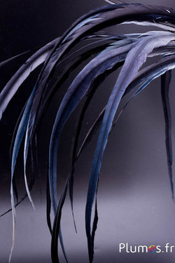 Coq fouet - 48-58 cm - noir anthracite